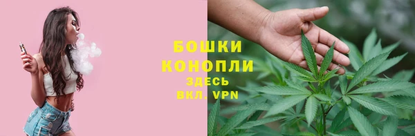 ECSTASY Богородицк